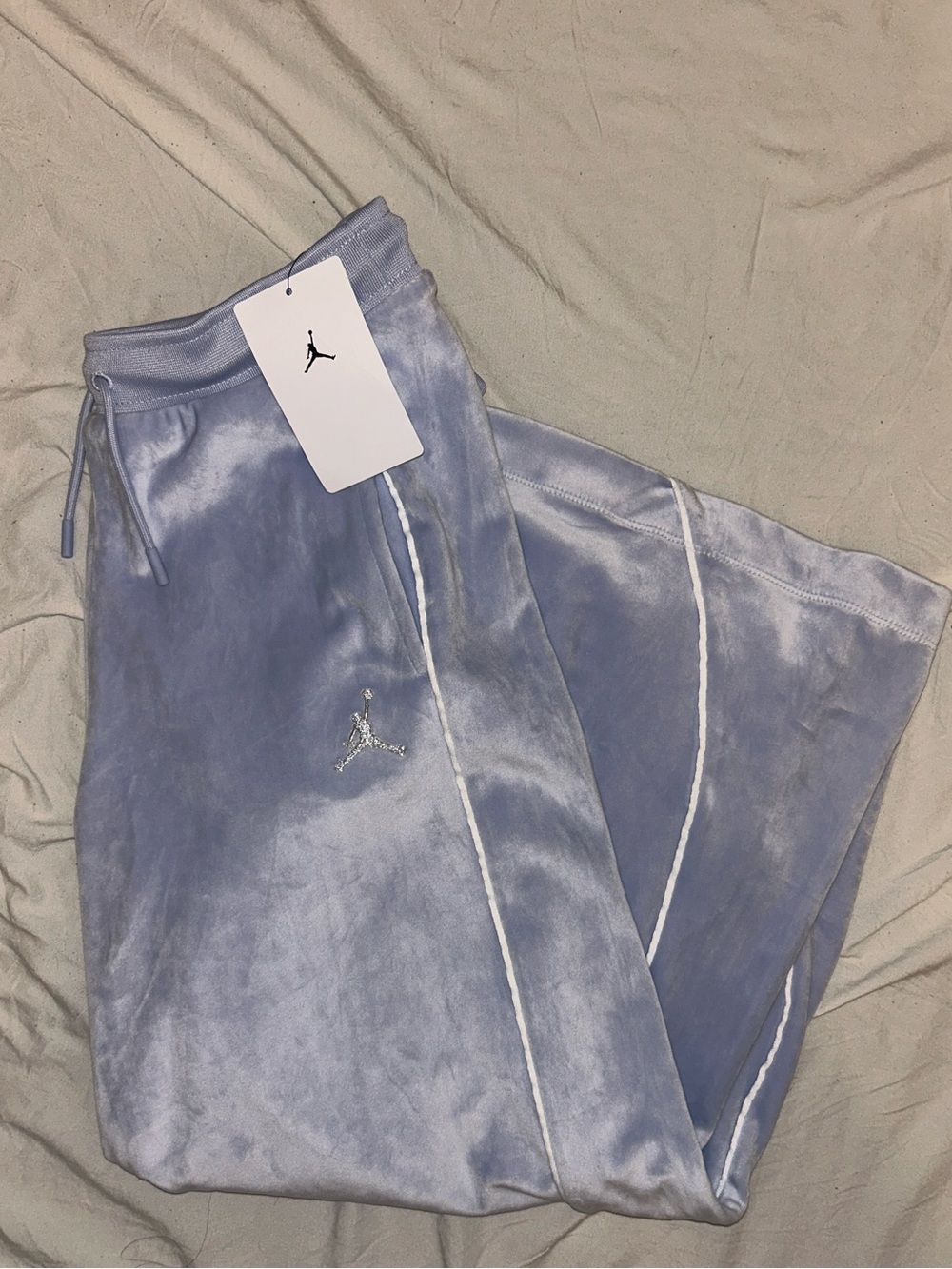 Air jordan Velour sweatpants in ghost